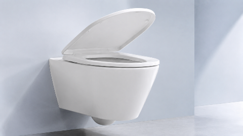 PP Toilet Seat