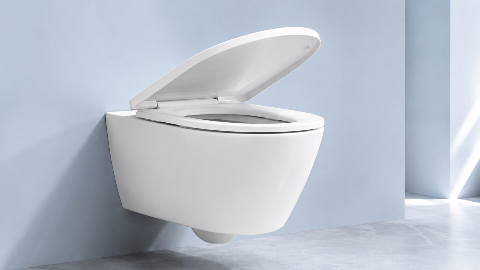 UF Toilet Seat