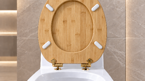 Bamboo Toilet Seat