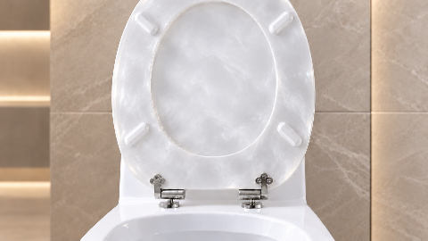 Resin Toilet Seat