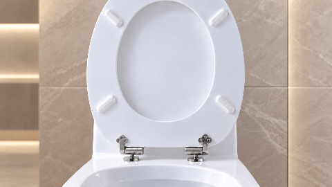MDF Toilet Seat