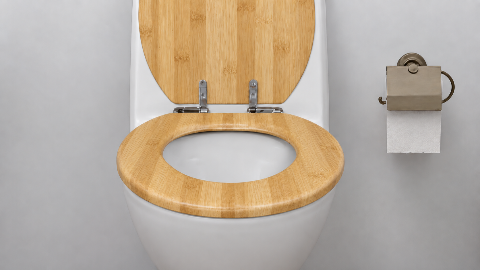 Bamboo Toilet Seat