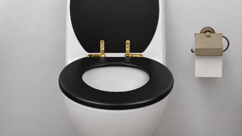 MDF Toilet Seat