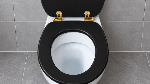 MDF Toilet Seat