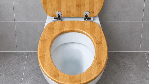 Bamboo Toilet Seat