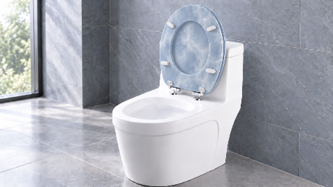 Resin Toilet Seat