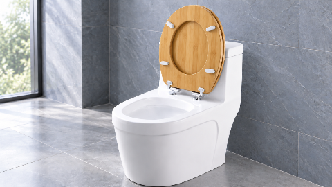 Bamboo Toilet Seat