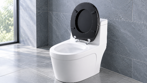 MDF Toilet Seat