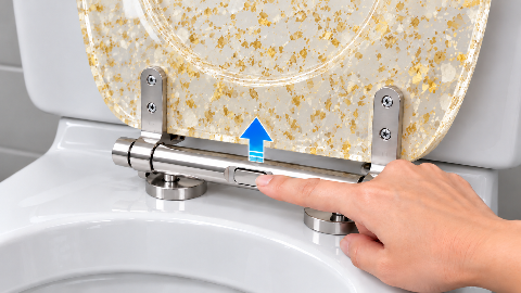 Resin Toilet Seat