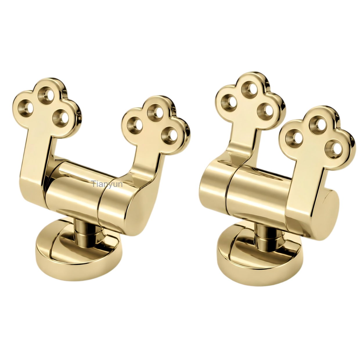 TY-P021GP Gold-Finish Zinc Alloy Soft-Close Hinge for MDF, Wood and Resin Toilet Seats product view