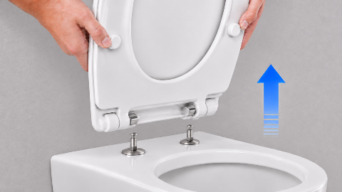 Pull-Out Quick Release Toilet Seat